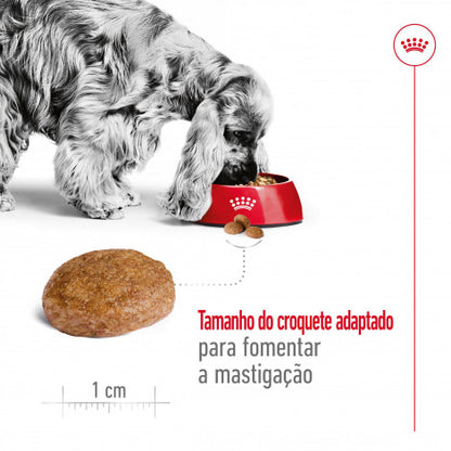 Royal Canin Medium Adult 7+ - Raçao seca para cão de raça média com mais de 7 anos
