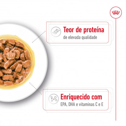 Royal Canin Medium Ageing 10+ - Alimento em molho para cão de porte médio com mais de 10 anos