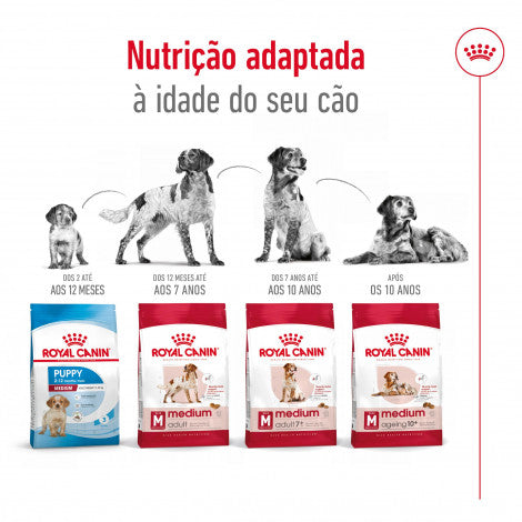 Royal Canin Medium Ageing 10+ - Ração seca para cão sénior de porte médio com mais de 10 anos