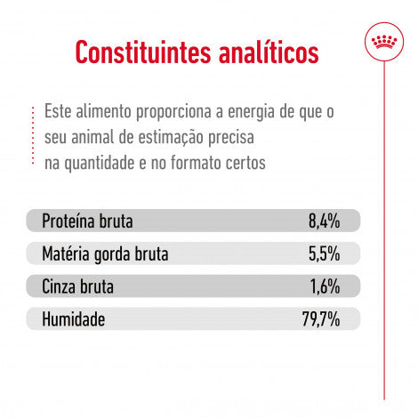 Royal Canin Medium Ageing 7+ - Alimento húmido para cão de porte médio