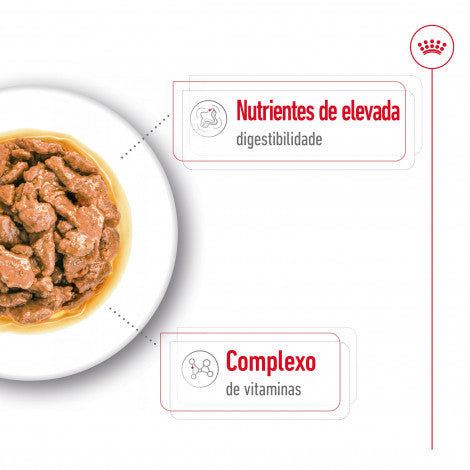 Royal Canin Mini Adulto - Alimento húmido para cão de porte pequeno