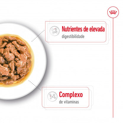 Royal Canin Mini Adulto - Alimento húmido para cão de porte pequeno