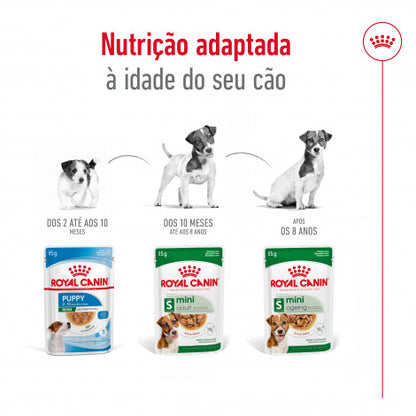 Royal Canin Mini Adulto - Alimento húmido para cão de porte pequeno