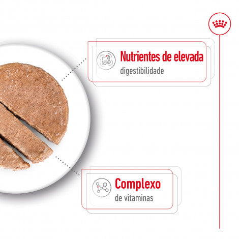 Royal Canin Mini Adult - Alimento em patê para cão adulto