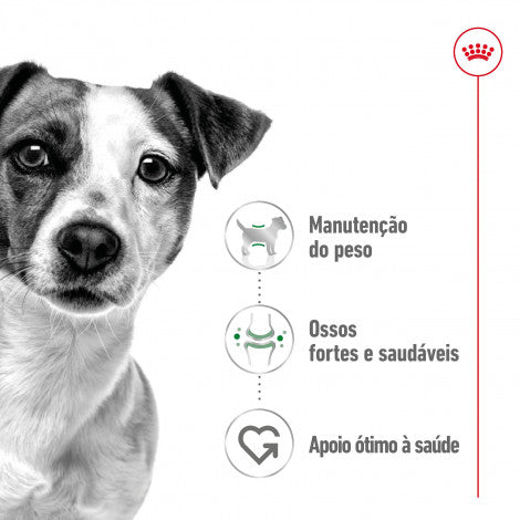 Royal Canin Mini Adult - Alimento em patê para cão adulto