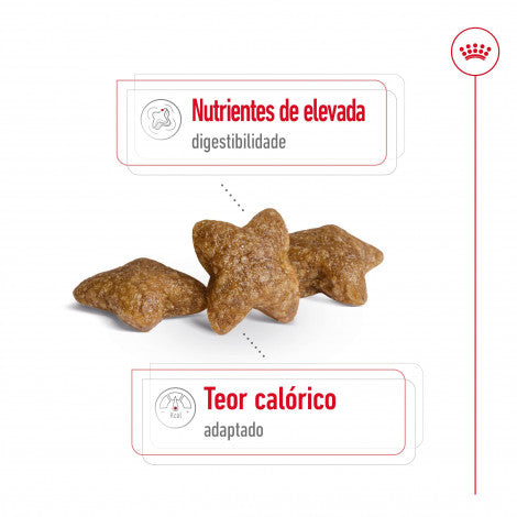Royal Canin Mini Adult - Ração seca para cão de porte pequeno