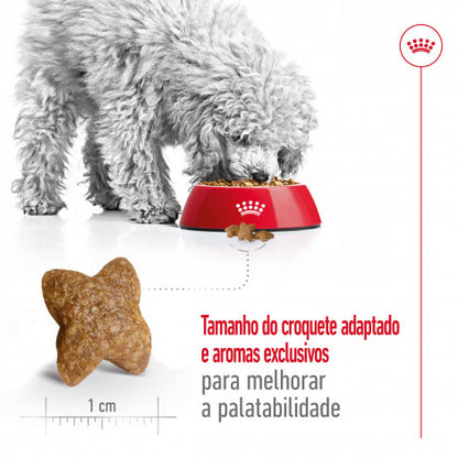 Royal Canin Mini Adult - Ração seca para cão de porte pequeno