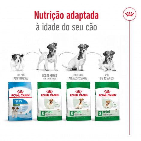 Royal Canin Mini Adult - Ração seca para cão de porte pequeno
