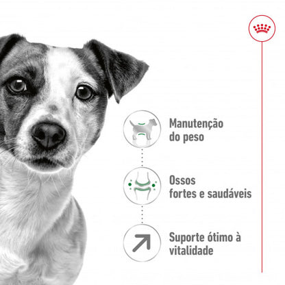 Royal Canin Mini Adult 8+ - Ração seca para cão de porte pequeno