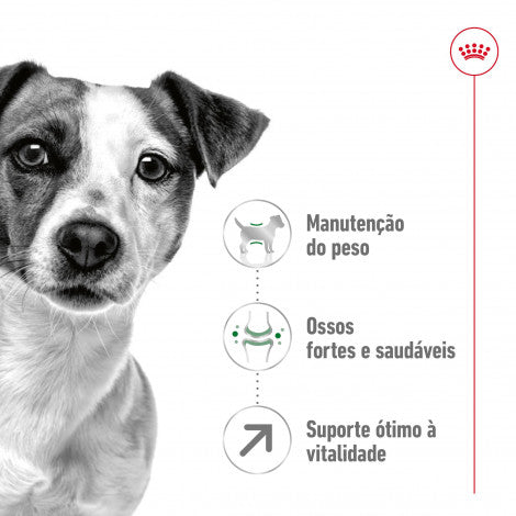 Royal Canin Mini Adult 8+ - Ração seca para cão de porte pequeno