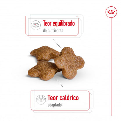 Royal Canin Mini Adult 8+ - Ração seca para cão de porte pequeno