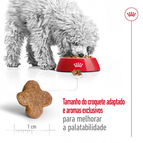 Royal Canin Mini Adult 8+ - Ração seca para cão de porte pequeno