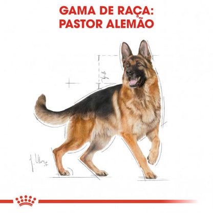 Royal Canin Pastor Alemão Adult - Ração seca para cão de raça