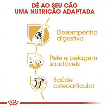 Royal Canin Pastor Alemão Adult - Ração seca para cão de raça