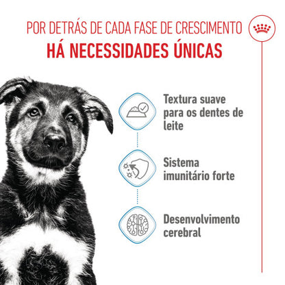 Royal Canin Puppy Maxi - Alimento húmido para cachorro de porte grande