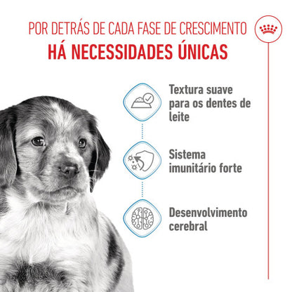 Royal Canin Puppy Medium - Alimento em molho para cachorro de porte médio