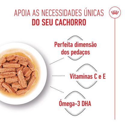 Royal Canin Puppy Medium - Alimento em molho para cachorro de porte médio