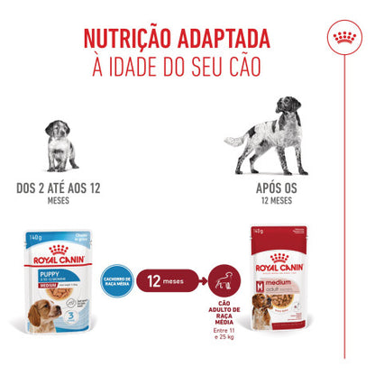 Royal Canin Puppy Medium - Alimento em molho para cachorro de porte médio