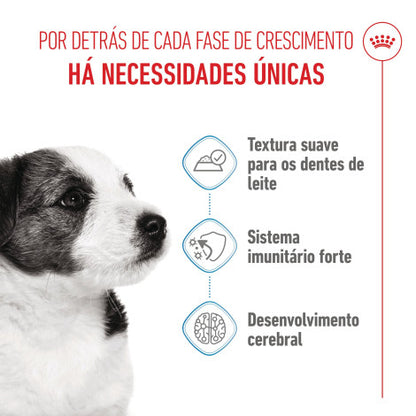 Royal Canin Puppy Mini - Alimento húmido para cachorro de porte mini
