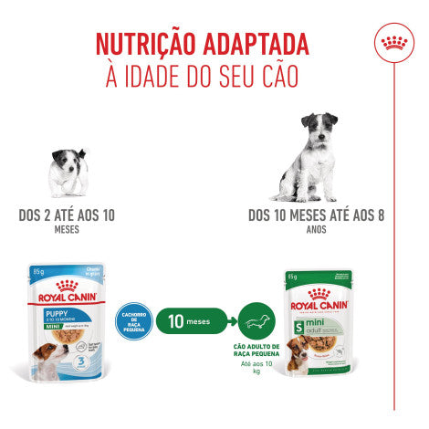 Royal Canin Puppy Mini - Alimento húmido para cachorro de porte mini