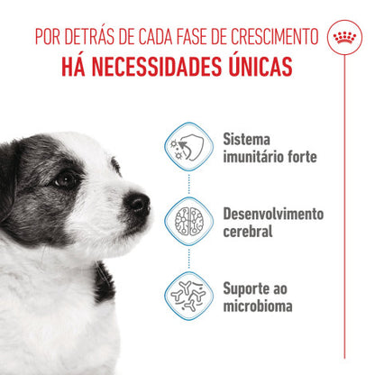 Royal Canin Puppy Mini - Ração seca para cachorro de porte pequeno