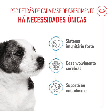 Royal Canin Puppy Mini - Ração seca para cachorro de porte pequeno