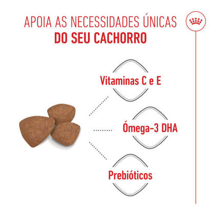 Royal Canin Puppy Mini - Ração seca para cachorro de porte pequeno