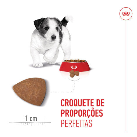 Royal Canin Puppy Mini - Ração seca para cachorro de porte pequeno