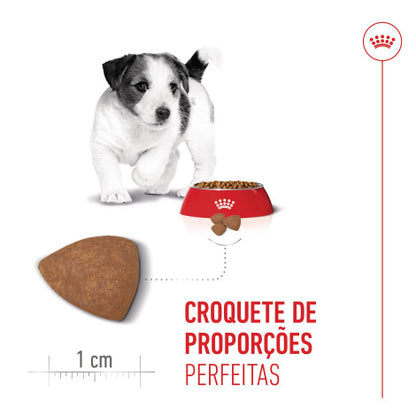 Royal Canin Puppy Mini - Ração seca para cachorro de porte pequeno