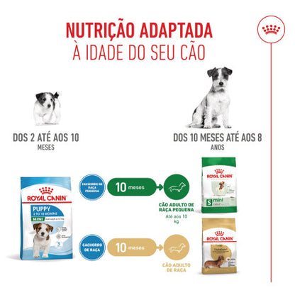 Royal Canin Puppy Mini - Ração seca para cachorro de porte pequeno