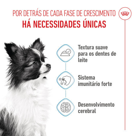 Royal Canin Puppy X-Small - Alimento em molho para cachorro de porte muito pequeno