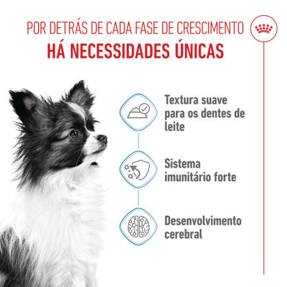 Royal Canin Puppy X-Small - Alimento em molho para cachorro de porte muito pequeno