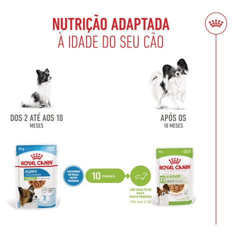 Royal Canin Puppy X-Small - Alimento em molho para cachorro de porte muito pequeno