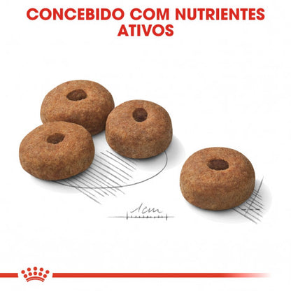 Royal Canin Sterilised Maxi Adult - Ração seca para cão esterilizado de porte grande