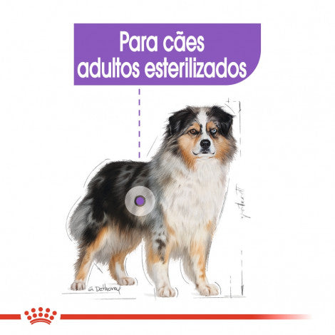 Royal Canin Sterilised Medium Adult - Ração seca para cão esterilizado de porte médio