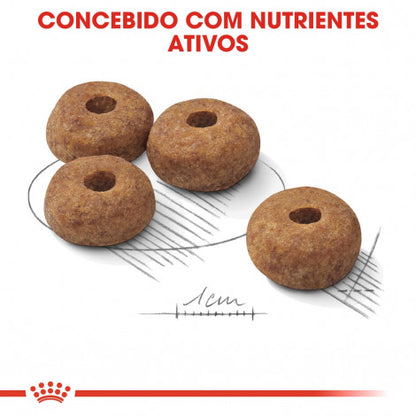 Royal Canin Sterilised Medium Adult - Ração seca para cão esterilizado de porte médio
