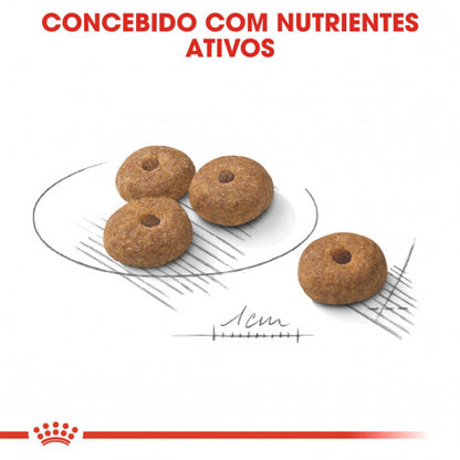 Royal Canin Sterilised Mini Adult - Ração seca para cão esterilizado de porte pequeno