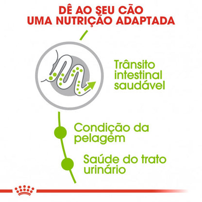 Royal Canin X-Small Adult - Ração seca para cão muito pequeno