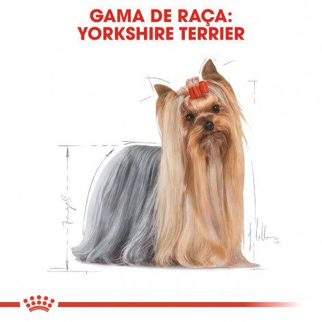 Royal Canin Yorkshire Terrier Adult - Ração seca para cão de raça