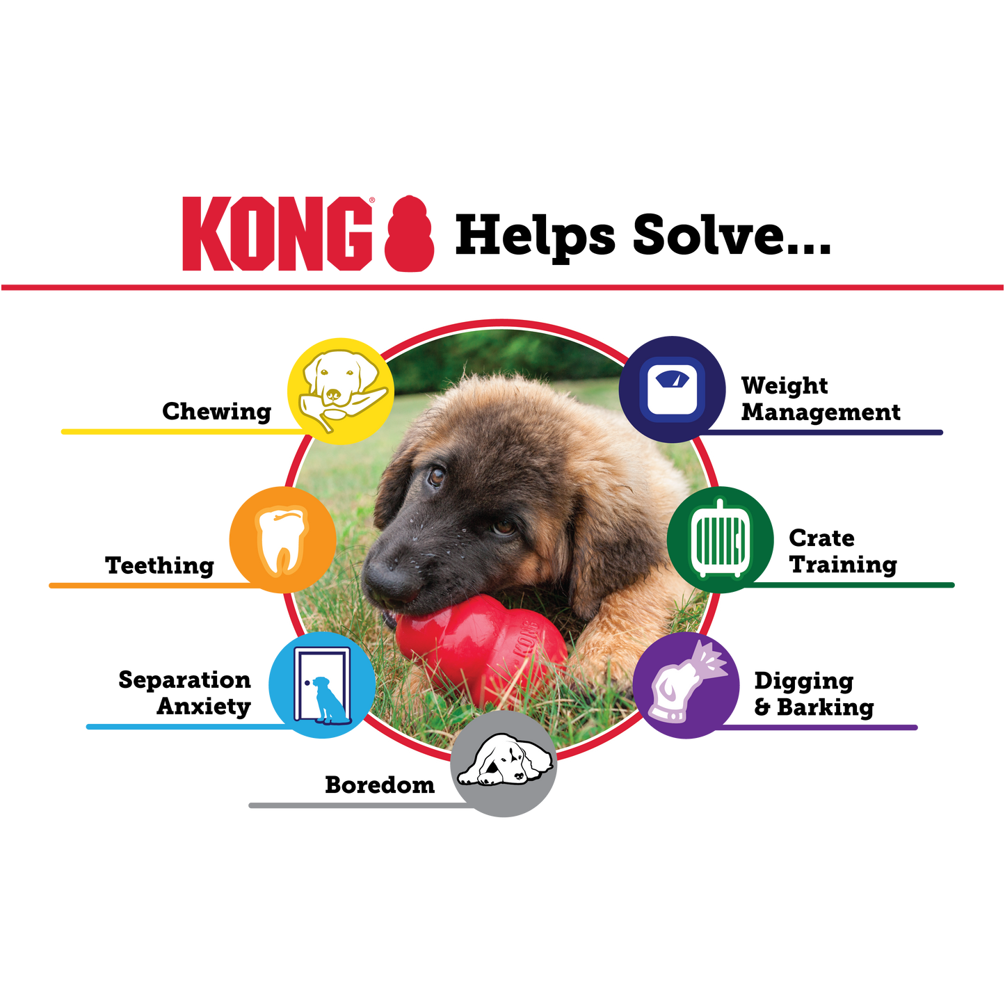 Brinquedo para cão - Kong Classic
