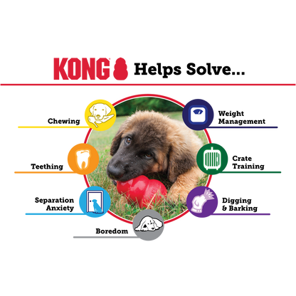 Brinquedo para cão - Kong Classic