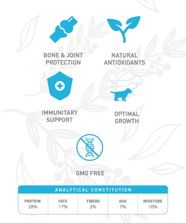 Weego - Ração seca para cachorros - Frango e Romã