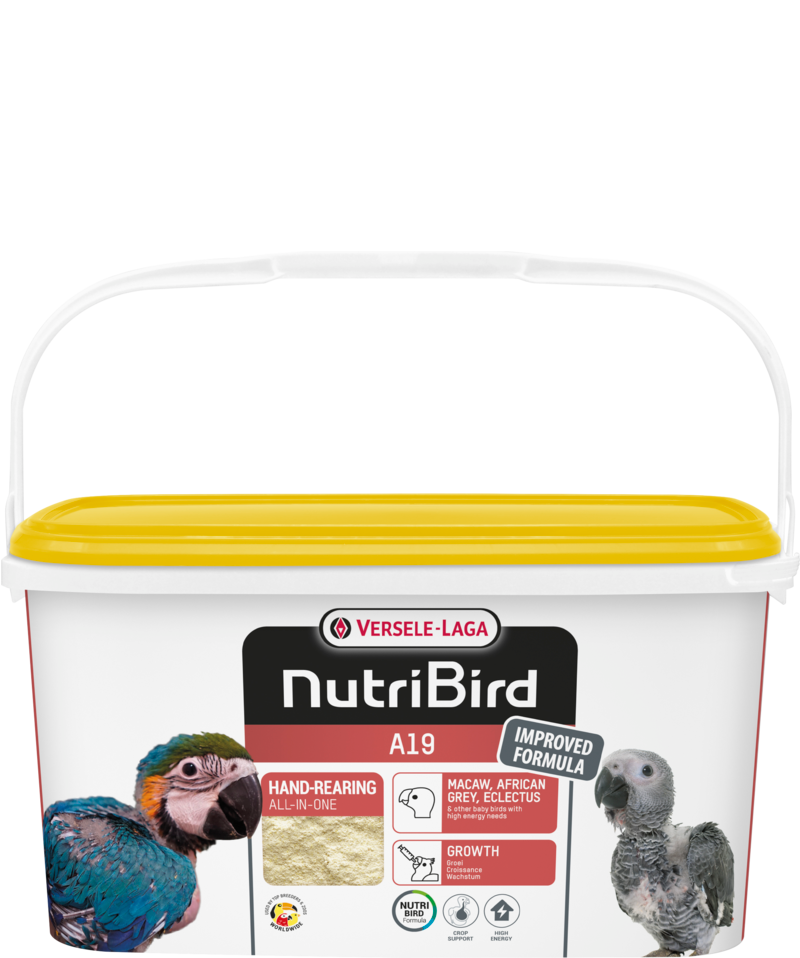NutriBird A19 - Alimento para criação à mão para aves - Versele-Laga