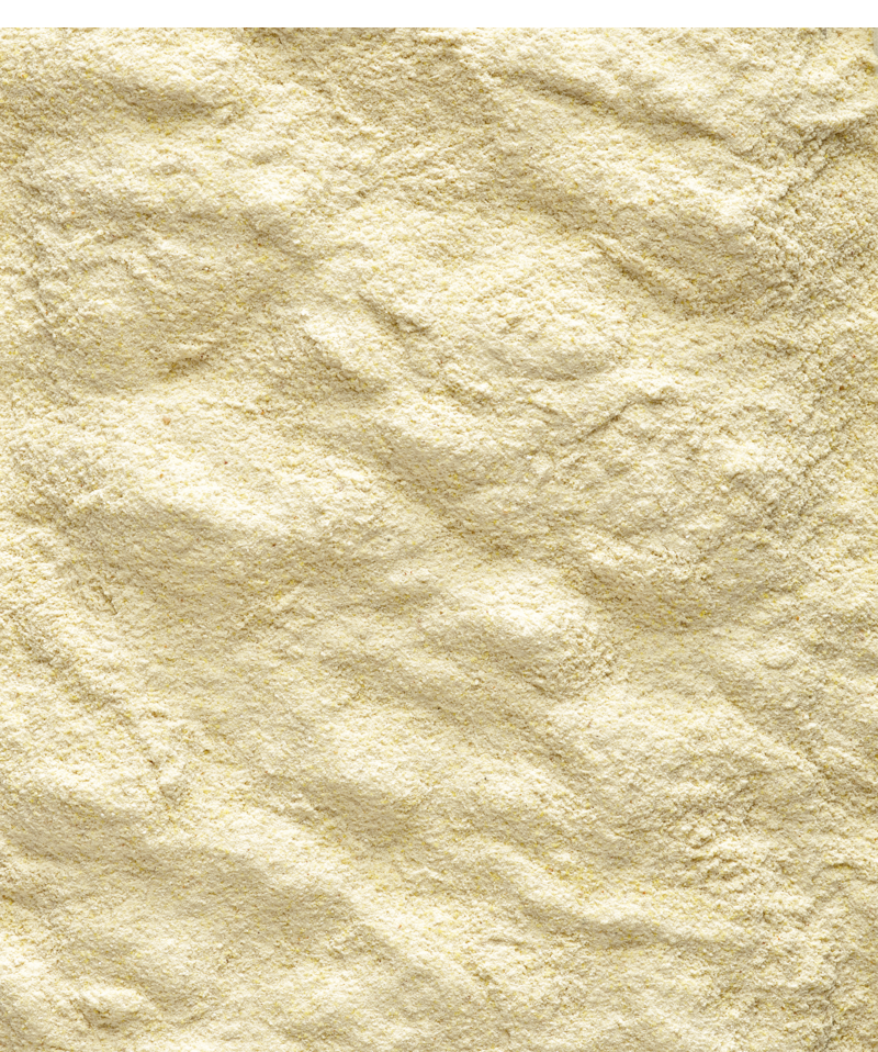 NutriBird A19 - Alimento para criação à mão para aves - Versele-Laga