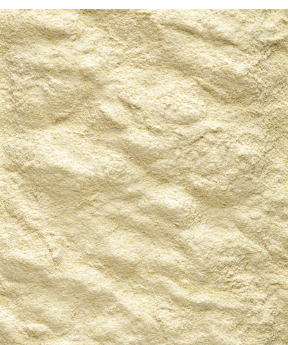 NutriBird A19 - Alimento para criação à mão para aves - Versele-Laga