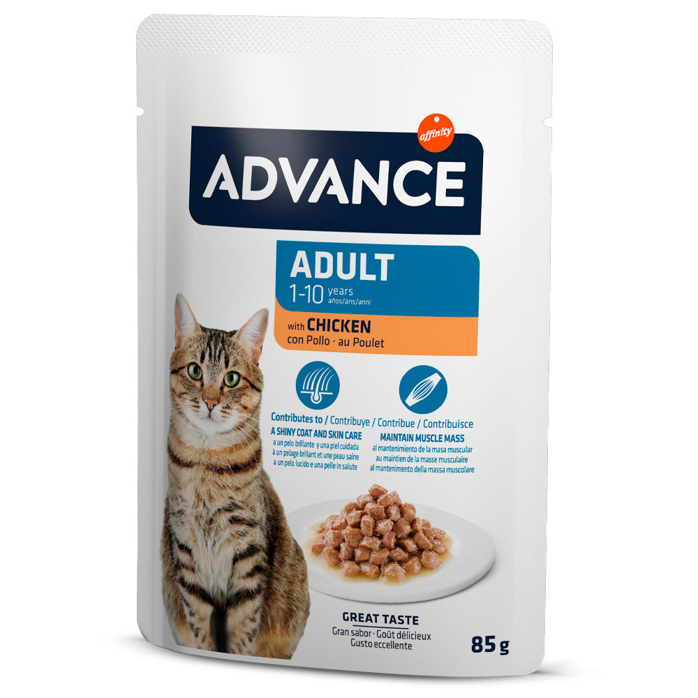 Advance Adult - Alimentação húmida para gatos adultos - Sabor a frango