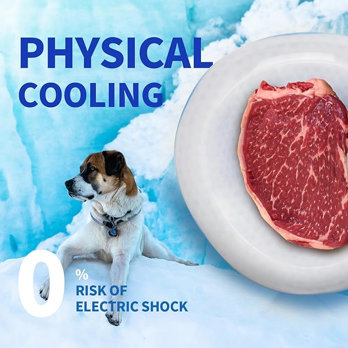 ALL FOR PAWS Chill Out - Taça térmica para cães