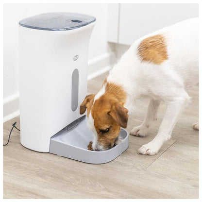 Dispensador automático para cães e gatos TX8
