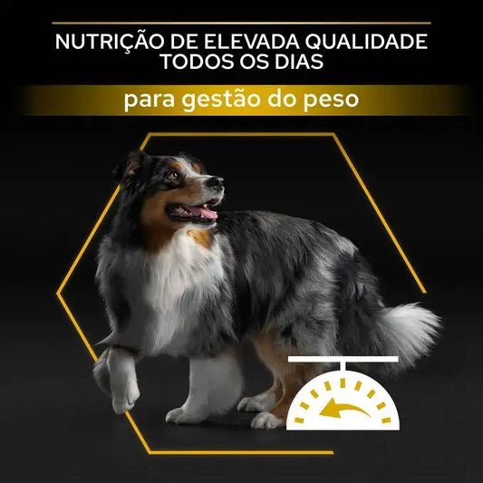 Pro Plan All Sizes Light/Sterilised Adult - Ração seca para cão adulto para controlo do peso - Sabor a Frango