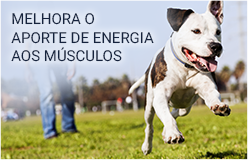 Anima-Strath - Alimento complementar para cães e gatos